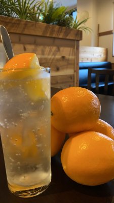 島レモンサワーの画像