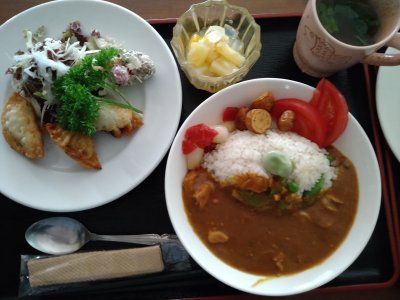 ランチ
（本日のおすすめ－カレー、お魚ギョーザ）の画像