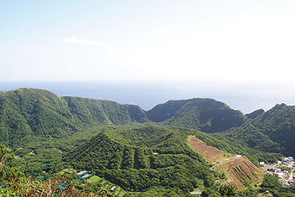 丸山の画像