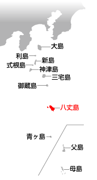 大島　利島　新島　式根島　神津島　三宅島　御蔵島　八丈島　青ヶ島　父島　母島