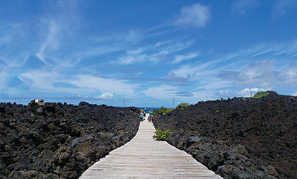 火山体験遊歩道の画像