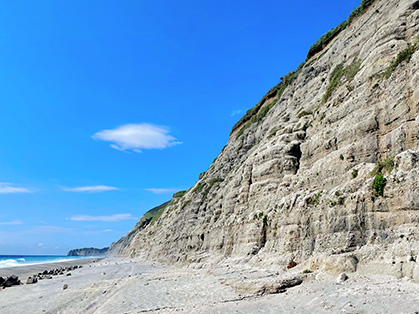 羽伏浦海岸の画像3