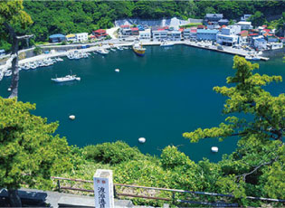 波浮港周辺の画像